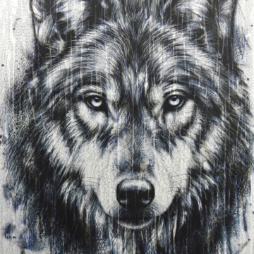 120 x 90 cm | Loup XII | huile sur toile Peinture à l'huile sur toile par l'artiste Rémi Planche représentant un loup