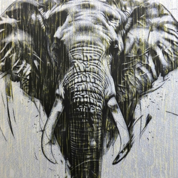 140 x 130 cm | Éléphant IV | huile sur toile Peinture à l'huile sur toile par l'artiste Rémi Planche représentant un éléphant