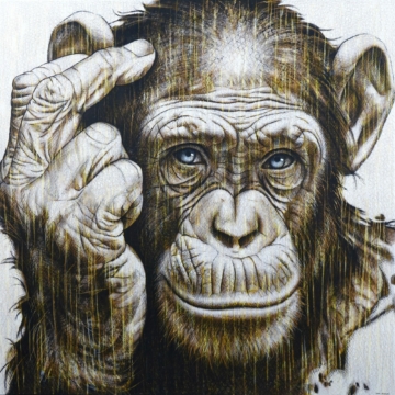 140 x 140 cm | Homo Novus VI | huile sur toile Peinture à l'huile sur toile par l'artiste Rémi Planche représentant un chimpanzé
