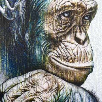 160 x 120 cm | Homo Novus IX | huile sur toile Peinture à l'huile sur toile par l'artiste Rémi Planche représentant un chimpanzé