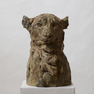 40 x 27 x 30 cm | Buste de guépard | bronze